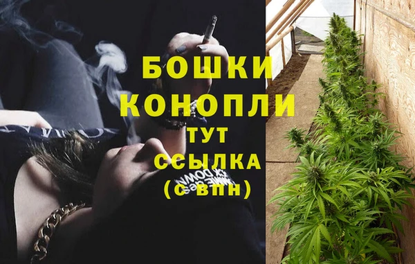 стафф Белоозёрский
