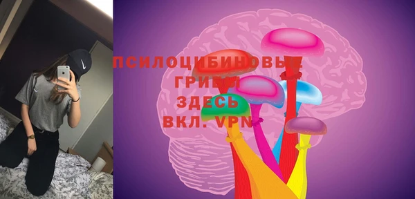 синтетический гашиш Белокуриха